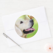 ラブラドール及び蝶装飾用クッション ラウンドシール (封筒)