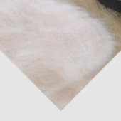 ラブラドール及び蝶装飾用クッション 薄葉紙 (詳細)