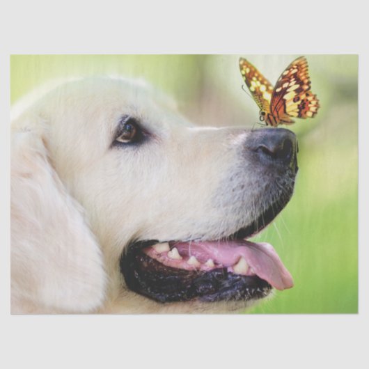 ラブラドール及び蝶装飾用クッション 薄葉紙 (正面)