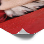 ラブラドール子犬とバラ ポスター (角)