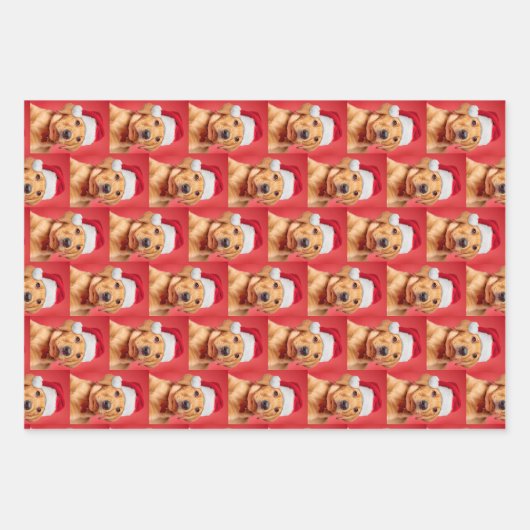 ラブラドール子犬品種 ラッピングペーパーシート (正面)