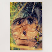 ラブラドール子犬 ジグソーパズル (縦)