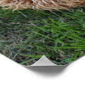 ラブラドール子犬 ポスター (角)