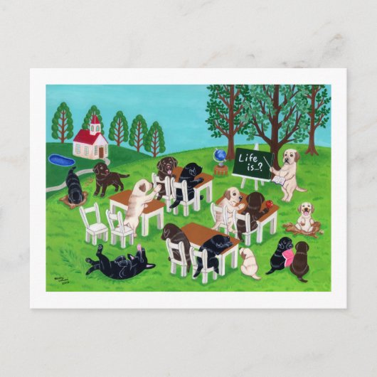 ラブラドール学校 ポストカード (正面)