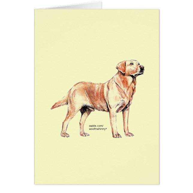 ラブラドール検索機 (正面)