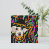 ラブラドール検索機 カード (スタンド正面)