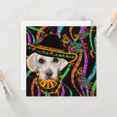 ラブラドール検索機 カード (正面/裏面インサイチュ)