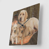 ラブラドール検索機 スクエア壁時計 (傾斜)