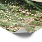 ラブラドール検索機 ポスター (角)