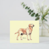 ラブラドール検索機 ポストカード (スタンド正面)