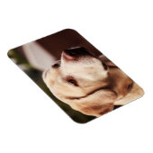 ラブラドール検索機 マグネット (右側)