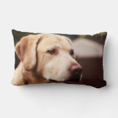 ラブラドール検索機 ランバークッション (裏面)