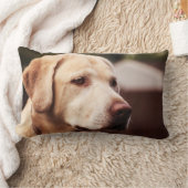 ラブラドール検索機 ランバークッション (ブランケット)