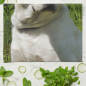 ラブラドール犬 キッチンタオル (折り畳み)