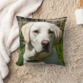 ラブラドール犬 クッション (ブランケット)