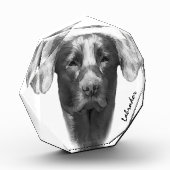 ラブラドール犬 クール フォトブロック (左)