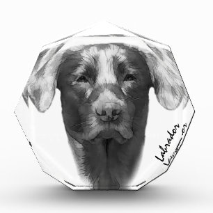 ラブラドール犬 クール フォトブロック