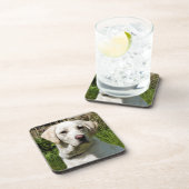 ラブラドール犬 コースター (右側)