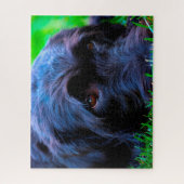 ラブラドール犬。 ジグソーパズル (縦)