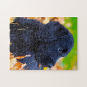 ラブラドール犬。 ジグソーパズル (横)