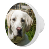 ラブラドール犬 セラミックノブ (右)