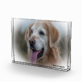 ラブラドール犬。 フォトブロック (右)