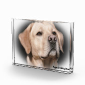 ラブラドール犬 フォトブロック (右)