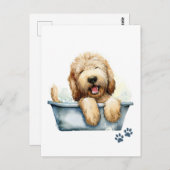 ラブラドール犬 ポストカード (正面/裏面)