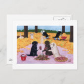 ラブラドール秋おもしろい ポストカード (正面/裏面)