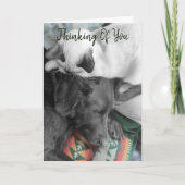 ラブラドール考えるの頭の上の可愛い子猫 カード (正面)