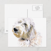 ラブラドール葉書をバターズ ポストカード (正面/裏面)