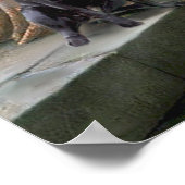 ラブラドール4 （黒） – ザアクコラード ポスター (角)