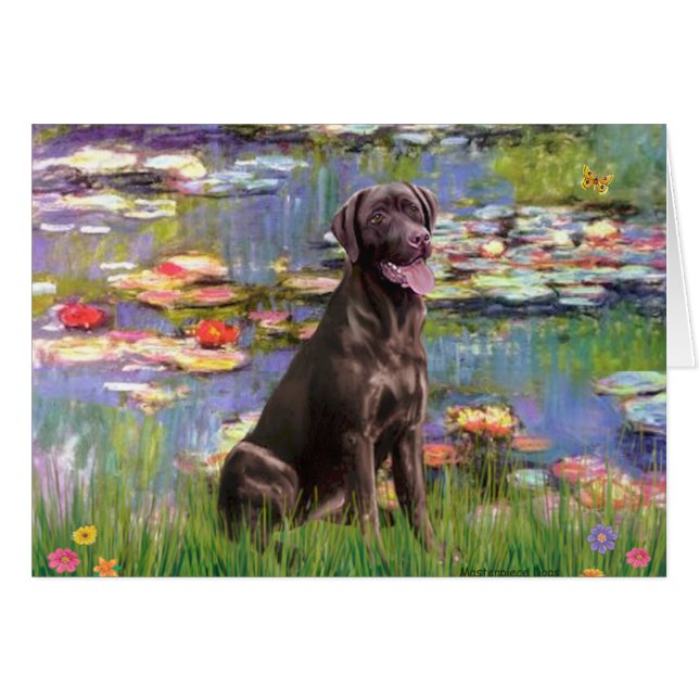 ラブラドール（チョコレート） – リリー2 (正面横)