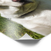 ラブラドール フォトプリント            (角)