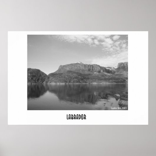 ラブラドール ポスター (正面)