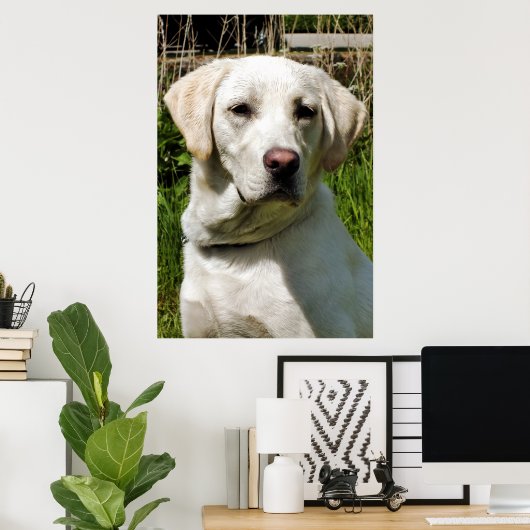 ラブラドール ポスター (ホームオフィス)