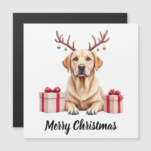 ラブラドール レインディア (正面/裏面)