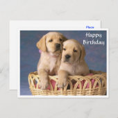 ラブラドール・レトリバーの子犬の誕生日ポストカード ポストカード (正面/裏面)