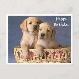 ラブラドール・レトリバーの子犬の誕生日ポストカード ポストカード