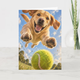 ラブラドール・レトリバー テニスボール遊び 面白い犬 カード