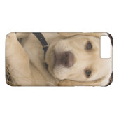 ラブラドール・レトリーバー 子犬 Case-Mate iPhoneケース (裏面(横))