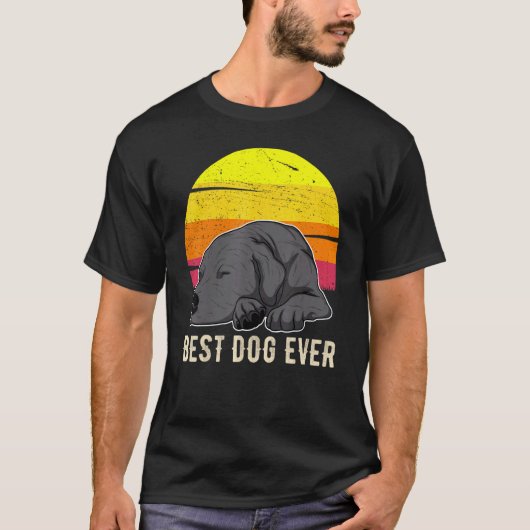 ラブラドール・レトリーバー 日没 59 Tシャツ (正面)