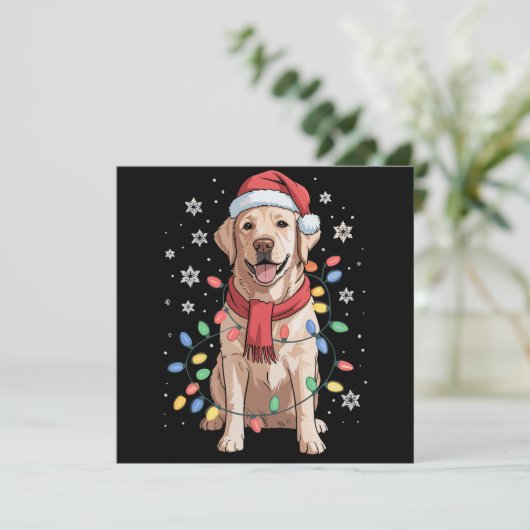 ラブラドール・レトリーバー 犬 サンタクロース 帽子 クリスマス (スタンド正面)
