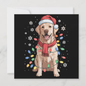 ラブラドール・レトリーバー 犬 サンタクロース 帽子 クリスマス (正面)