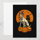 ラブラドール・レトリーバー 犬 ハロウィン 招待状 (正面/裏面)