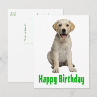 ラブラドール・レトリーバー 黄色いラブラドール子犬の誕生日 ポストカード