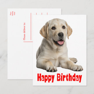 ラブラドール・レトリーバー 黄色いラブラドール子犬の誕生日 ポストカード