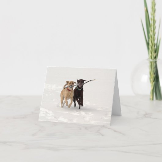 ラブラドール・レト遊リーバーズ・イン・スノー・グリーティング カード (正面)