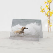 ラブラドール – 黄色 – 取りに行く！ カード (黄色い花)