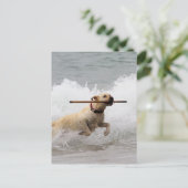 ラブラドール – 黄色 – 取りに行く！ ポストカード (スタンド正面)